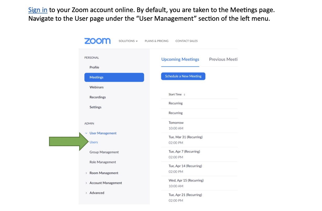 zoom users
